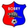 Bobry Karczmiska