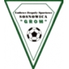 Grom Sosnowica
