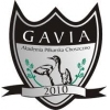 Gavia II Choszczno