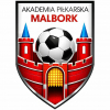AP Malbork