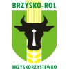 Brzysko-Rol Brzyskorzystewko