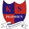 Płomień Niegowonice