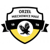 Orzeł Miechowice Małe