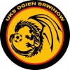 Ogień Brwinów