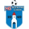Błękitni II Gąbin