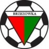 KS Brzezówka