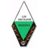 Mechanik II Brzezina