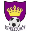 TS Przyborów