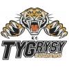 Tygrysy Sulnowo