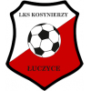 Kosynierzy Łuczyce
