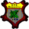 GTS II Bojszowy