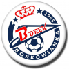 Borkowianka Borek